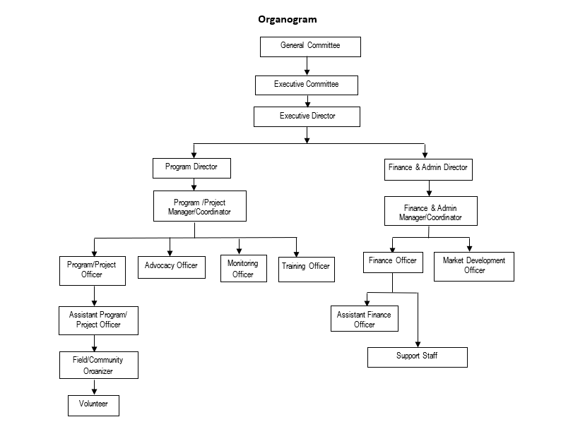 ARCO Organogram